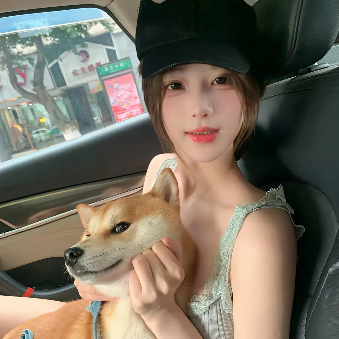 白粉飞 第五季